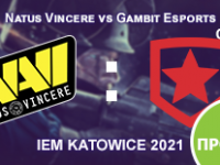 Прогноз на матч Natus Vincere vs Gambit Esports 26 февраля