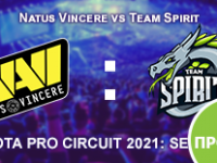 Прогноз на матч Natus Vincere vs Team Spirit 21 февраля