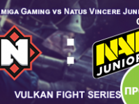 Прогноз на матч Nemiga Gaming vs Natus Vincere Junior 13 января